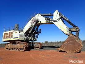 2010 Liebherr R9250 - picture0' - Click to enlarge