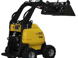 Mini Loader - Dingo - Hire - picture0' - Click to enlarge