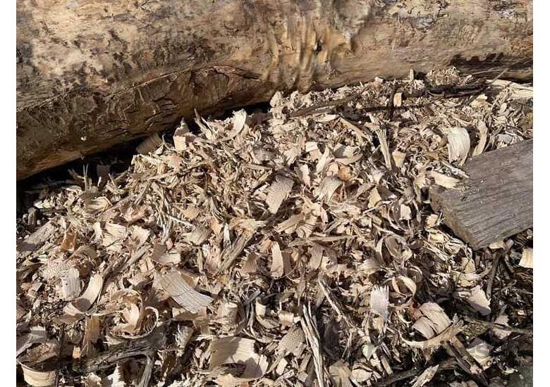 M450M Forestry Mulchers: Lightweight, for Tractors 54-180 HP