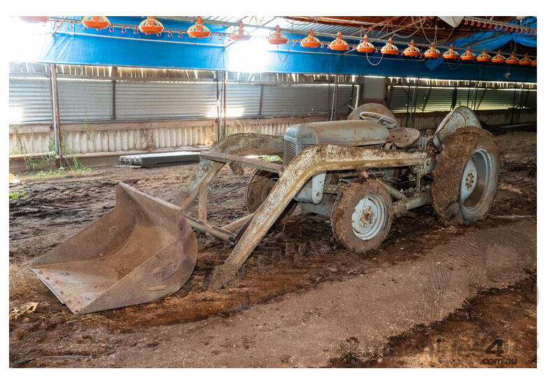 1950 Circa, Massey Fergusson Front End Loader Tractor
