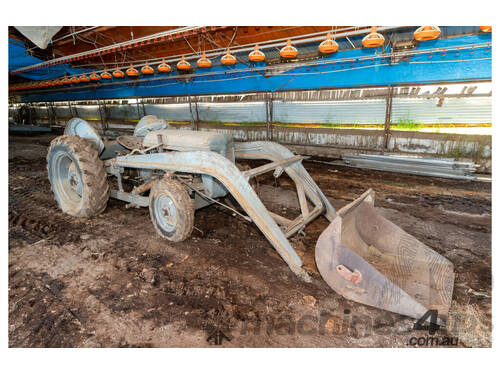 1950 Circa, Massey Fergusson Front End Loader Tractor