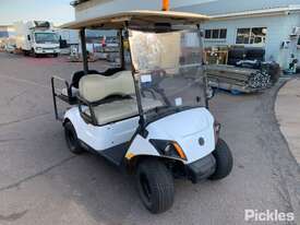 2019 Yamaha Electric Yard Buggy - picture0' - Click to enlarge