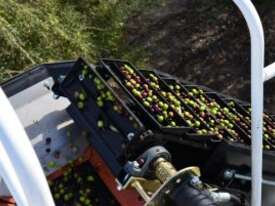 Colossus XL Olive Harvester - picture1' - Click to enlarge
