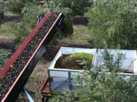 Colossus XL Olive Harvester - picture2' - Click to enlarge