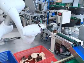 Collaborative Robots - Doosan Robotics - picture0' - Click to enlarge