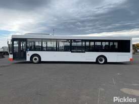 2001 Mercedes Benz Road Cruiser 51 Seat Bus - picture2' - Click to enlarge