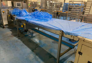   Decline Conveyor for Sale