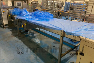   Decline Conveyor for Sale