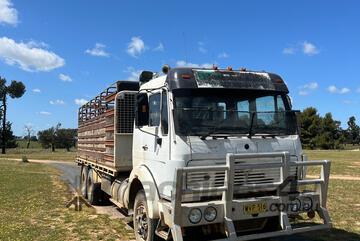 Mercedes Benz 2233 Tipper Truck