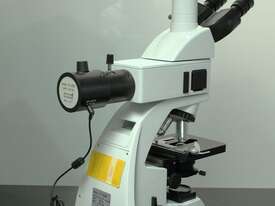 Fluorescent Trinocular Biological Microscope. - picture1' - Click to enlarge