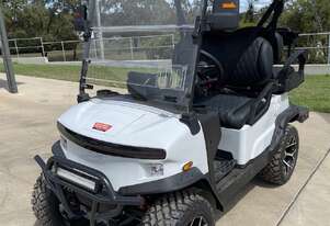 Deluxe 4 Seater Electric Golf Cart / Buggy
