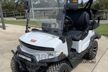 Deluxe 4 Seater Electric Golf Cart / Buggy