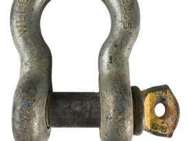 Bow Shackle D 9.5 Ton BJ35 Lifting Chains Rigging Equipment - picture0' - Click to enlarge