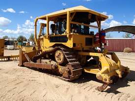 Cat D6T Dozer with Scrub Canopy - picture2' - Click to enlarge
