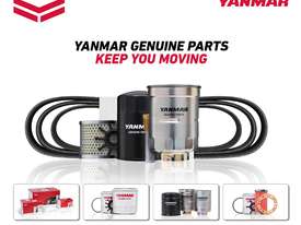 YANMAR DIESEL ENGINE TS190RS - picture0' - Click to enlarge