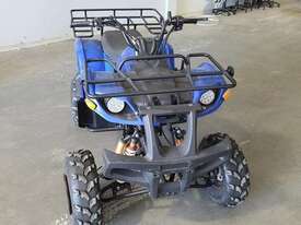 Shineray Off Road Bike Quad Bike - picture1' - Click to enlarge