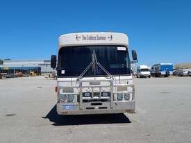 Volvo RV BUS - picture0' - Click to enlarge