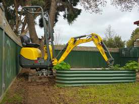 Wacker Neuson 803 with trailer and attachments  - picture1' - Click to enlarge