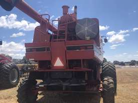 Case IH 2188 Header(Combine) Harvester/Header - picture1' - Click to enlarge