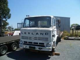 1977 LEYLAND TERRIER - picture0' - Click to enlarge