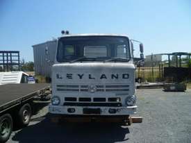 1977 LEYLAND TERRIER - picture1' - Click to enlarge