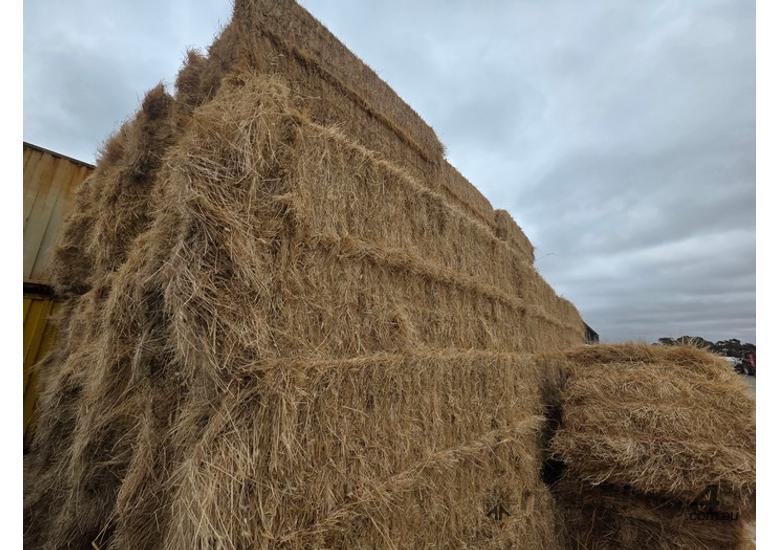 Hay - Clover and Ryegrass