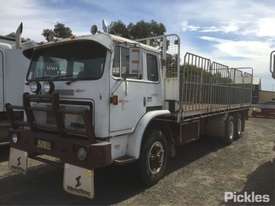 1981 International ACCO 1950C - picture2' - Click to enlarge