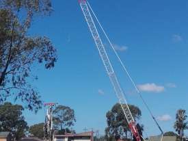 2012  50T Zoomlion Crawler Crane  - picture0' - Click to enlarge