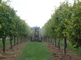 Vineyard Sprayer - picture0' - Click to enlarge
