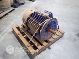 ELEKTRIM SG250M2 55KW INDUCTION MOTOR - picture0' - Click to enlarge