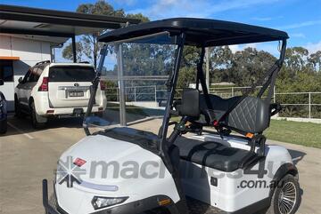 Deluxe 2-Seater Electric Golf Cart / Buggy