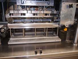 Continuous Tray Sealing Machine. - picture1' - Click to enlarge