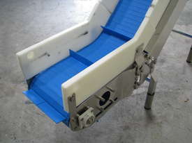 Stainless Steel Elevator Conveyor - picture1' - Click to enlarge