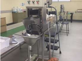 Linear Vibratory Weigh Filler - picture0' - Click to enlarge