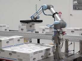 The Robot People UR10e series Collaborative Robot Palletising System - picture0' - Click to enlarge