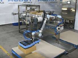 The Robot People UR10e series Collaborative Robot Palletising System - picture2' - Click to enlarge