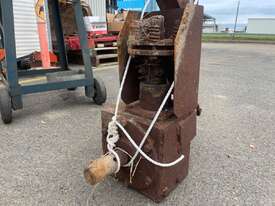 Borer - picture0' - Click to enlarge