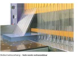 Schelling  Beam  Saw  Safety  Curtain - picture0' - Click to enlarge