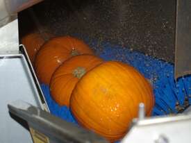 Wyma Pumpkin Brusher - picture2' - Click to enlarge