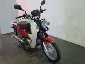 Honda Supercub - picture0' - Click to enlarge