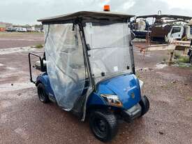 2019 Yamaha DR2A20 Golf Cart - picture0' - Click to enlarge