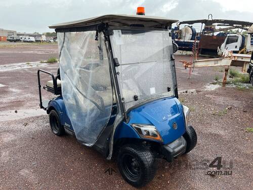 caption 2019 Yamaha DR2A20 Golf Cart