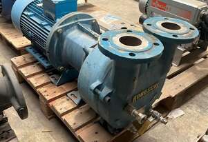 Robuschi Liquid Ring Vacuum Pump