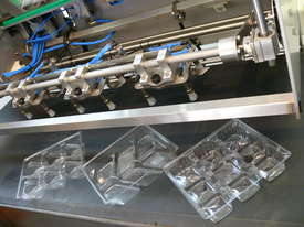 Tray Denesting Machine - picture2' - Click to enlarge