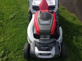 Mountfield SP555V Walk behind mower Lawn Equipment - picture1' - Click to enlarge