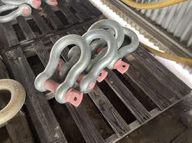 Qty of 4 x WLL85T Bow Shackles - picture1' - Click to enlarge