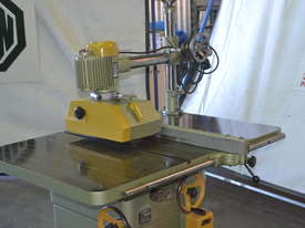 Heavy duty rip saw with power feeder - picture0' - Click to enlarge
