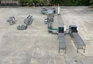 Commercial Strawberry Punnet Packing Line - Viscon