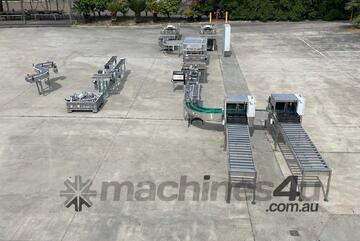 Commercial Strawberry Punnet Packing Line - Viscon