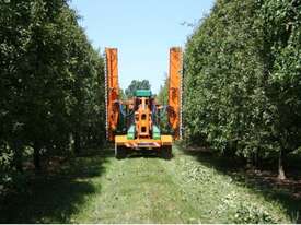 Orchard Pruning - picture0' - Click to enlarge
